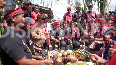 Bupati Sanggau menghadiri acara ritual Notong’k di Desa Padi Kaye