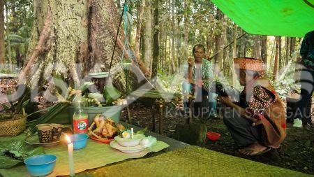 Peringati Hari Jadi Kota Sanggau, Wabup Sanggau Ikuti Ritual Adat Pedagi Macant Lojangk