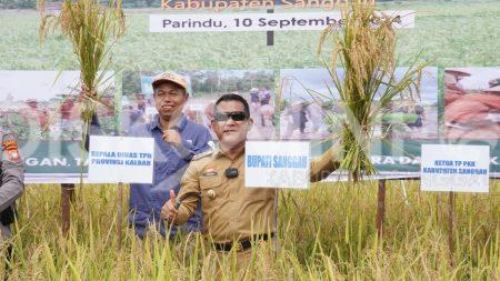 PJ Bupati Sanggau : Sektor Pertanian Prioritas Pembangunan Kabupaten Sanggau